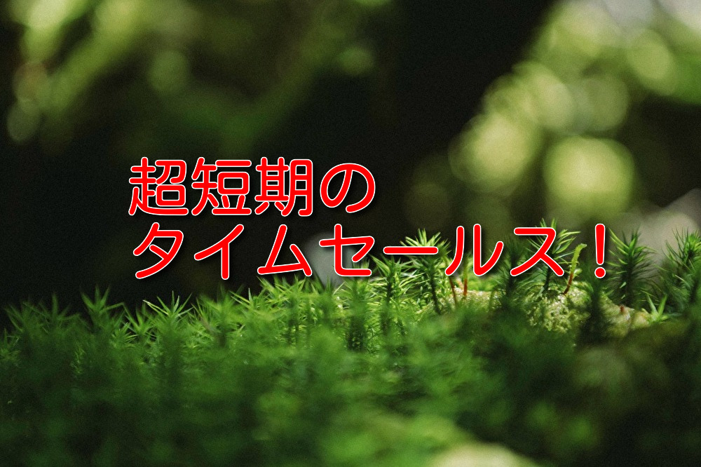 2021年7月5日(月)10:00まで